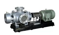 DBM - Model BY2GSB Type - Stainless Steel Pump
