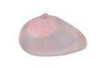 Pro-Health - Model PH14-001 - Female Fibroadenoma Breast Model for Education