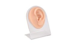Pro-Health - Model PH03-513 - Piercing Silicone Ear Practice Model with Display Stand