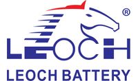 Leoch International Technology Limited Inc