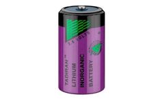 Lithium Metal Batteries