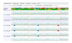 GENEIOUS PRIME - Comprehensive Suite of Molecular Biology and Sequence Analysis Tools