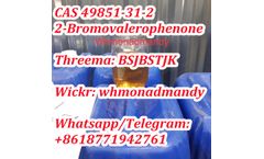 Monad - Model 49851-31-2 - 2-BROMO-1-PHENYL-PENTAN-1-ONE competitive price,Sales 49851-31-2 fast delivery