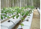 Coco Peat Grow Bags