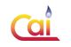 Combustion Associates Inc. (CAI)