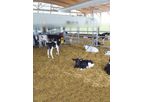 Megataj - Calf Grower Feed 3-6 Months