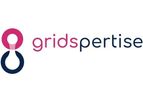 Gridspertise - Network Infrastructure Digitalization System