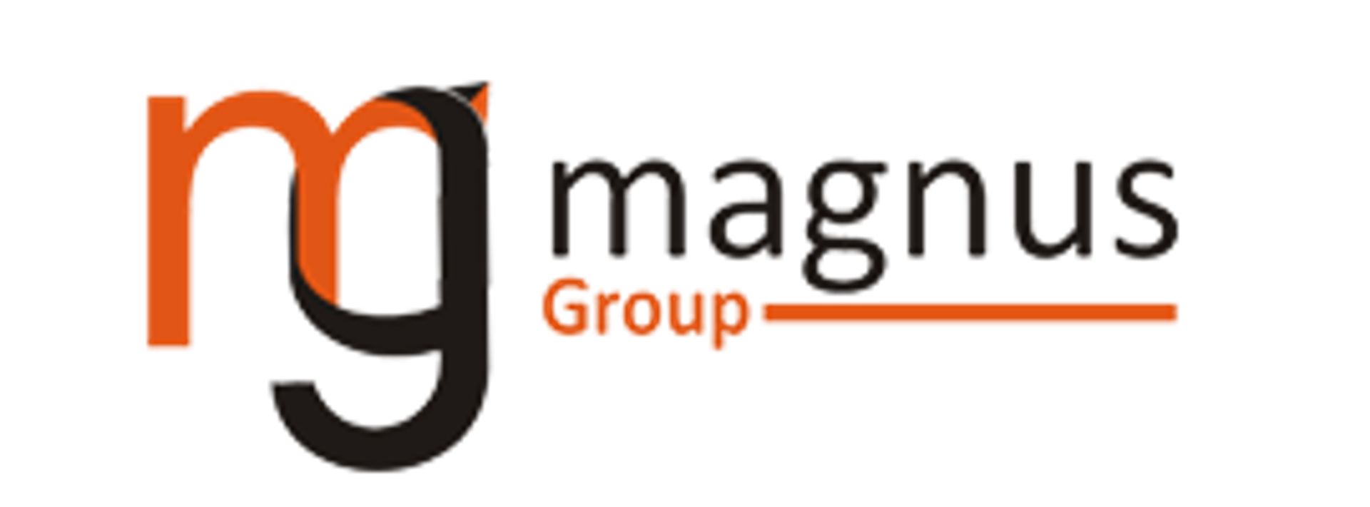 Magnus Group LLC