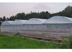 Plastic Curved Roof Film Greenhouse Zenithal Window Multi-Span Polyhouse Flower Vegetable Growing Greenhouse
