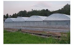 Plastic Curved Roof Film Greenhouse Zenithal Window Multi-Span Polyhouse Flower Vegetable Growing Greenhouse