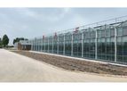 Traditional Venlo Greenhouses