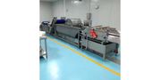Fruit Vegetable Washing Drying Machine line Eddy Current Cleaner