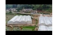 Film Greenhouse Project wholesale - Video