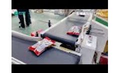 Automatic packaging production line for PADDY seeds - Video
