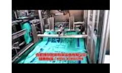 Automatic packaging production line (vertical automatic packaging machine) with 50kg animal feed - Video