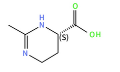 Chirial - Model 96702-03-3 - Ectoin