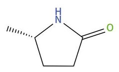 Chirial - Model 1558-60-7 - 5-Methylpyrrolidin