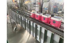 Zengran - Gable Top Pet Food Cartons Filling Sealing Machine