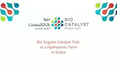 Bio Organic Catalyst at a Hydroponic Farm in Dubai - Video