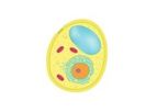 Homogenising - Yeast Cell Homogenizers