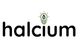 Halcium Energy Inc.