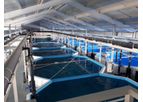 Recirculating Aquaculture System