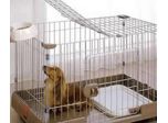 Dog Kennels, Pet Cages, Animal Cages