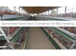 Egg Laying Cage System with Feeding Capacity of 96, 126, 160, 180 and 200 Chickens / Birds