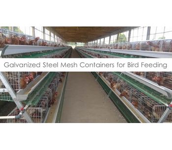 Egg Laying Cage System with Feeding Capacity of 96, 126, 160, 180 and 200 Chickens / Birds
