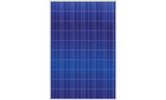 Universal Solar - Model WXS250P6-US - Photovoltaic Module