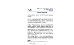 OSI - Corporate Summary (PDF 34 KB)