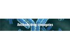 Antibody-Drug Conjugates (ADCs) Services