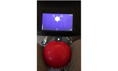 Playwork - Total-Body Exercises Ball