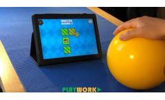 Playwork - Cognitive Training Ball