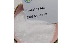 Model HCL 51-05-8 - Procaine Powder