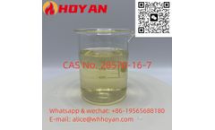 Hoyan - Model PMK -CAS No. 28578-16-7 - Glycidate Powder