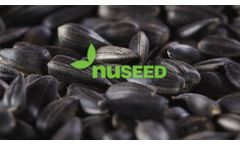 Nuseed U.S. & Canada - A sunflower hybrid for every field and every market (2021) - Video
