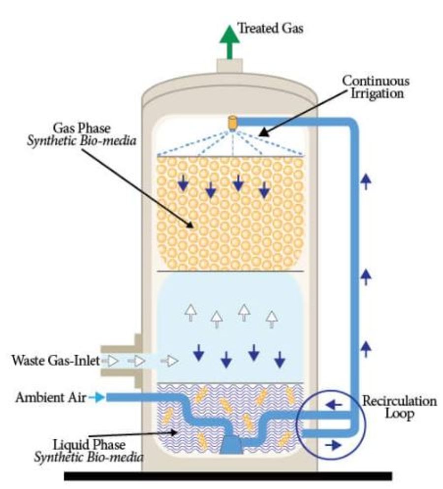 Dual-Biophase Bio Oxidation System