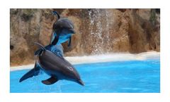 Water treatment solutions for zoos industry