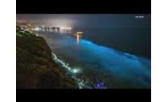 Why does the ocean glow blue? | Bioluminescence in San Diego - Video