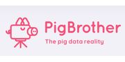 PigBrother