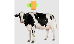 Model LoRaWAN - Cattle Leg Tag