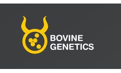 Dairy Embryo Genetics Programmes