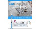 CatChip Just for Cats