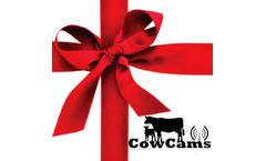 Cowcams - CowCams Gift Card