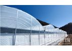 Insongreen - Polyethylene Covered Greenhouse