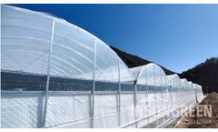 Insongreen - Polyethylene Covered Greenhouse