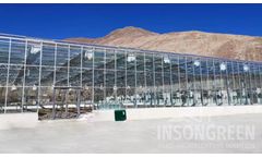 Insongreen - Glass Greenhouse