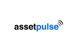 AssetPulse, LLC