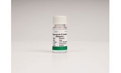 Pri-Cella - Model PB180126 - 50mg/mL Hygromycin B Aminoglycoside Antibiotic